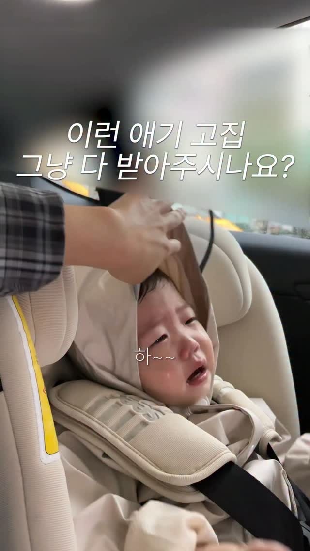 인삼과일