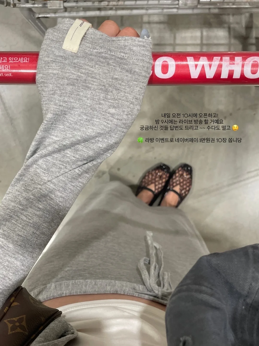 모트모트 독서템 4
