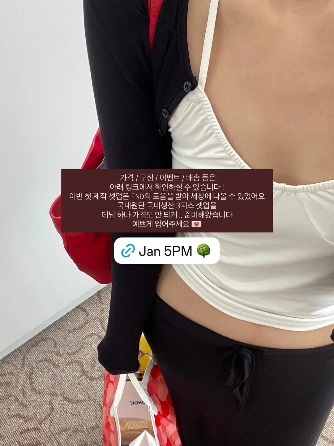 모트모트 독서템 5
