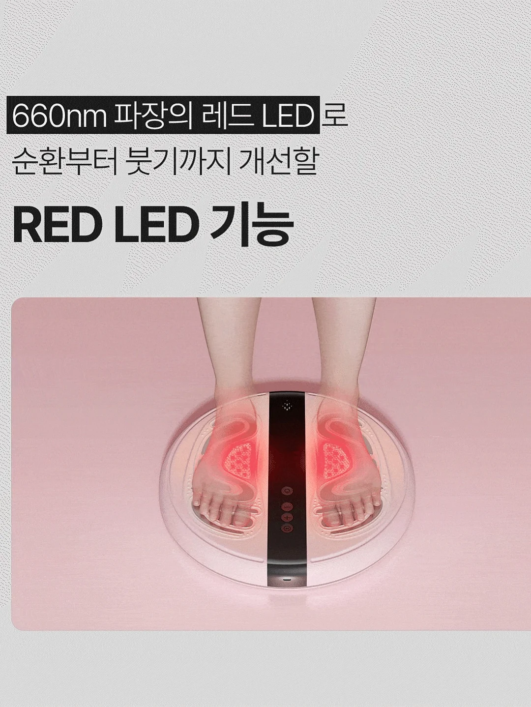 제철 활 미더덕 500g 2