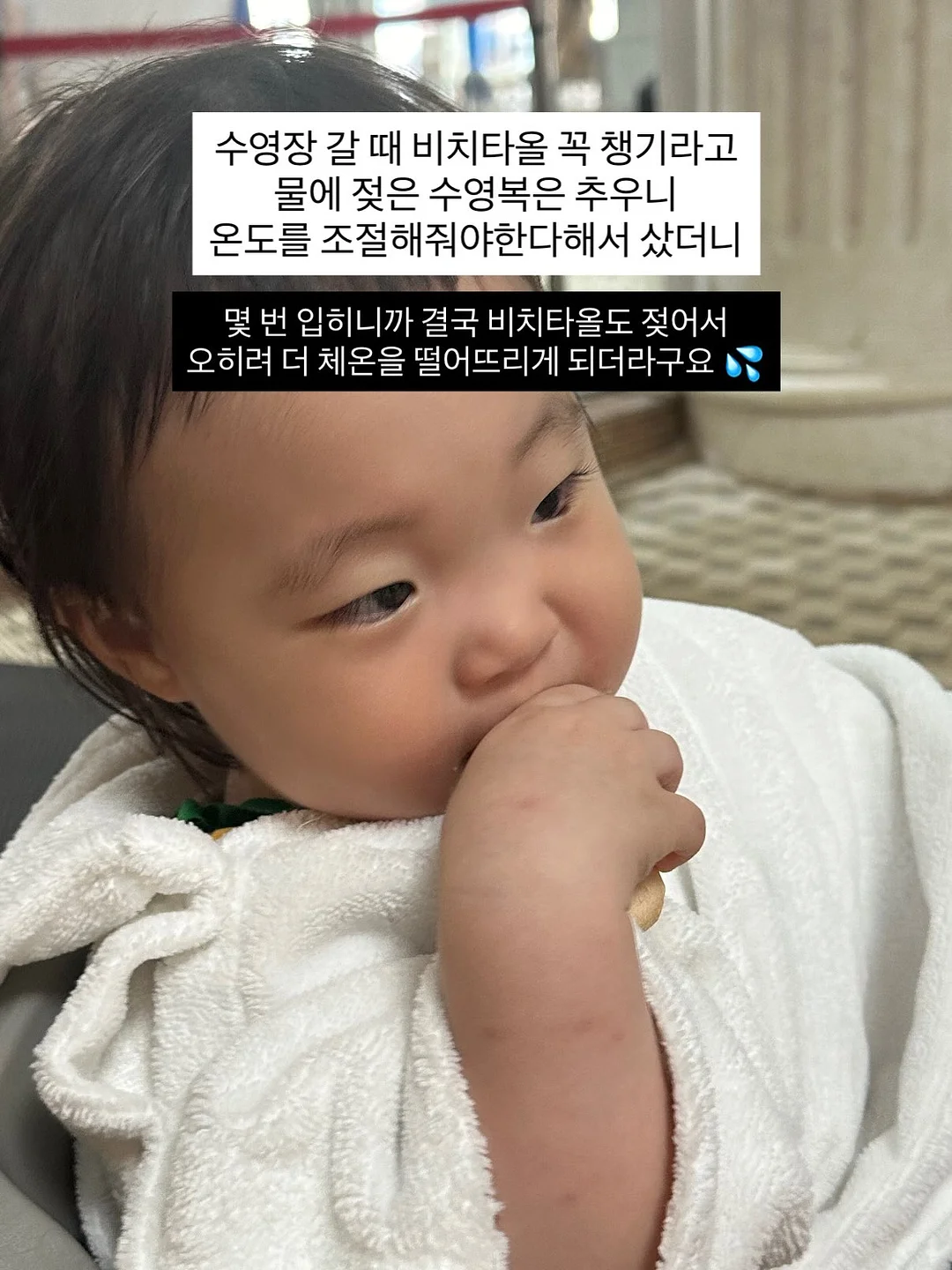 한입증편 10