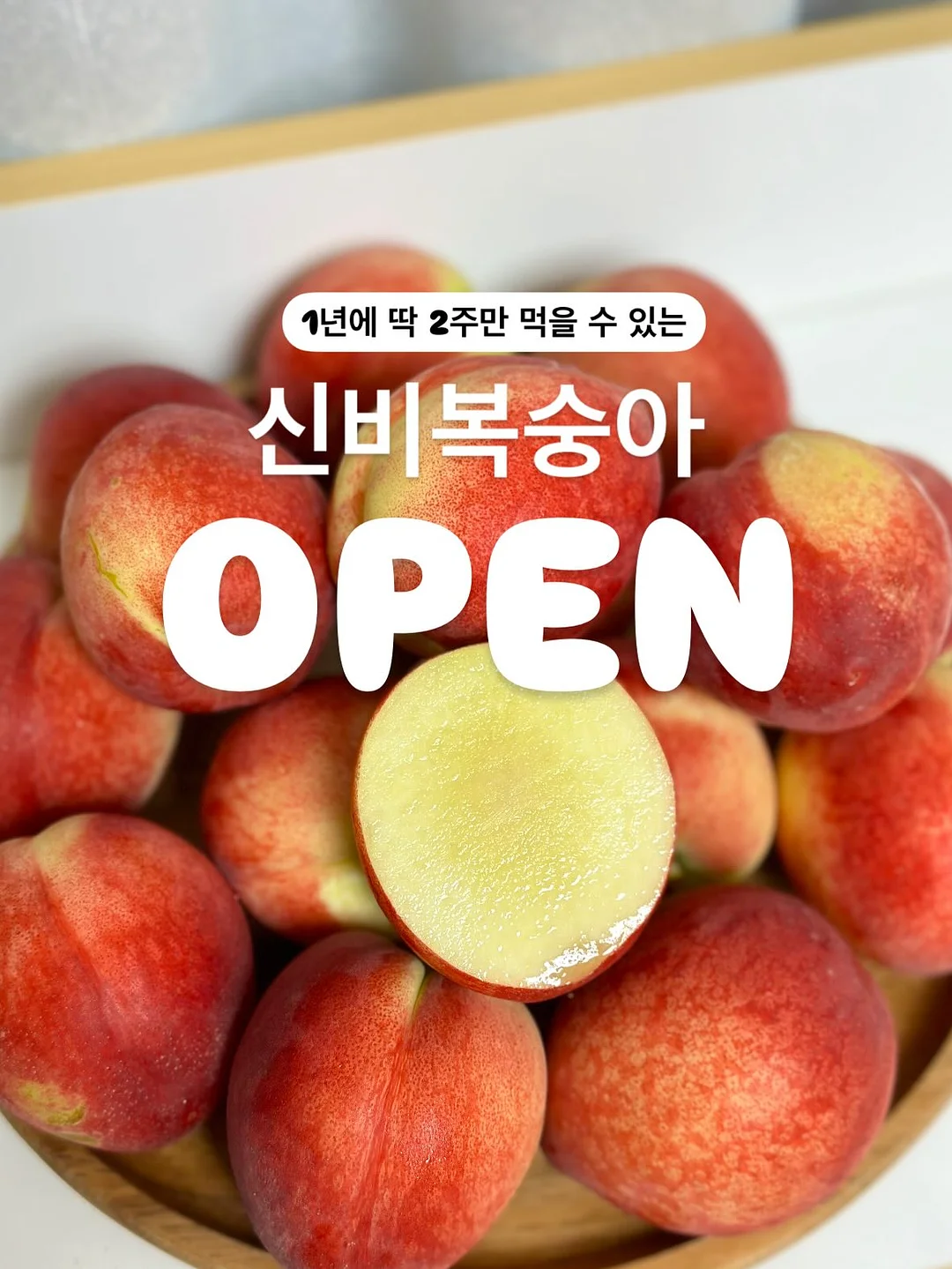 전북대 상가 임대 1