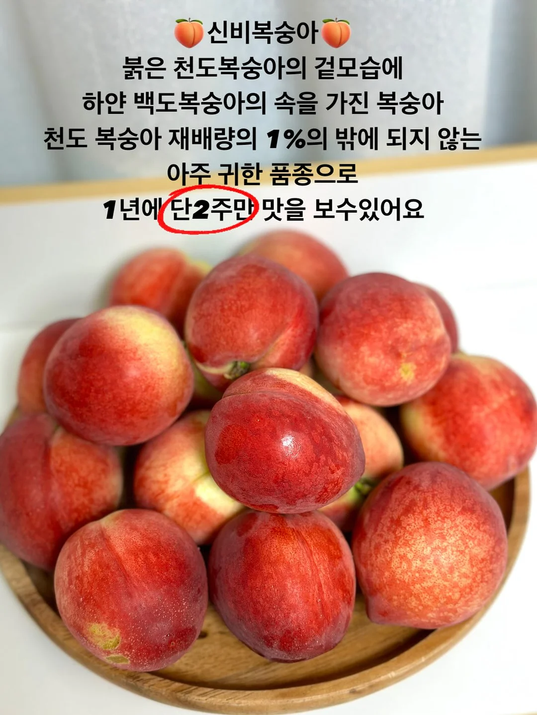 전북대 상가 임대 5