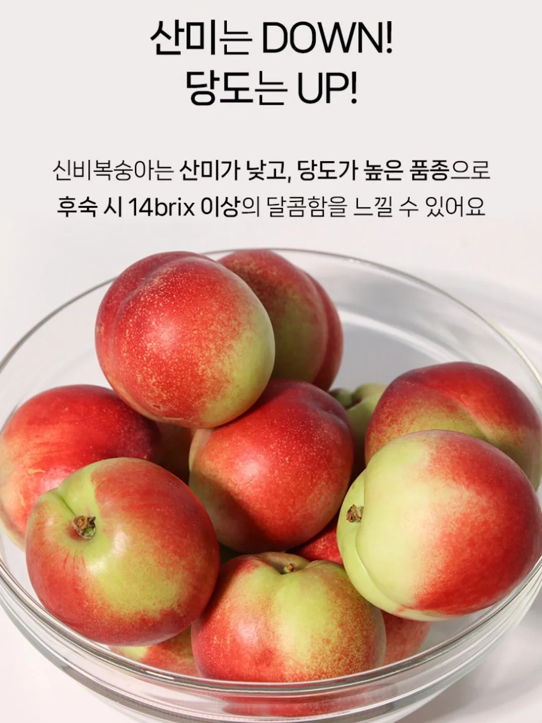전북대 상가 임대 7