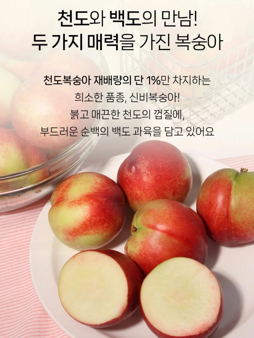 전북대 상가 임대 8