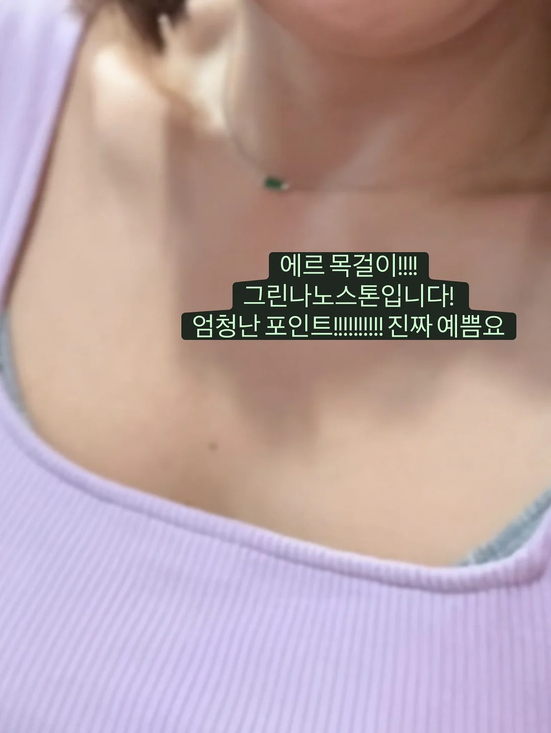 반려동물이 소개하는 웨딩 영상 12