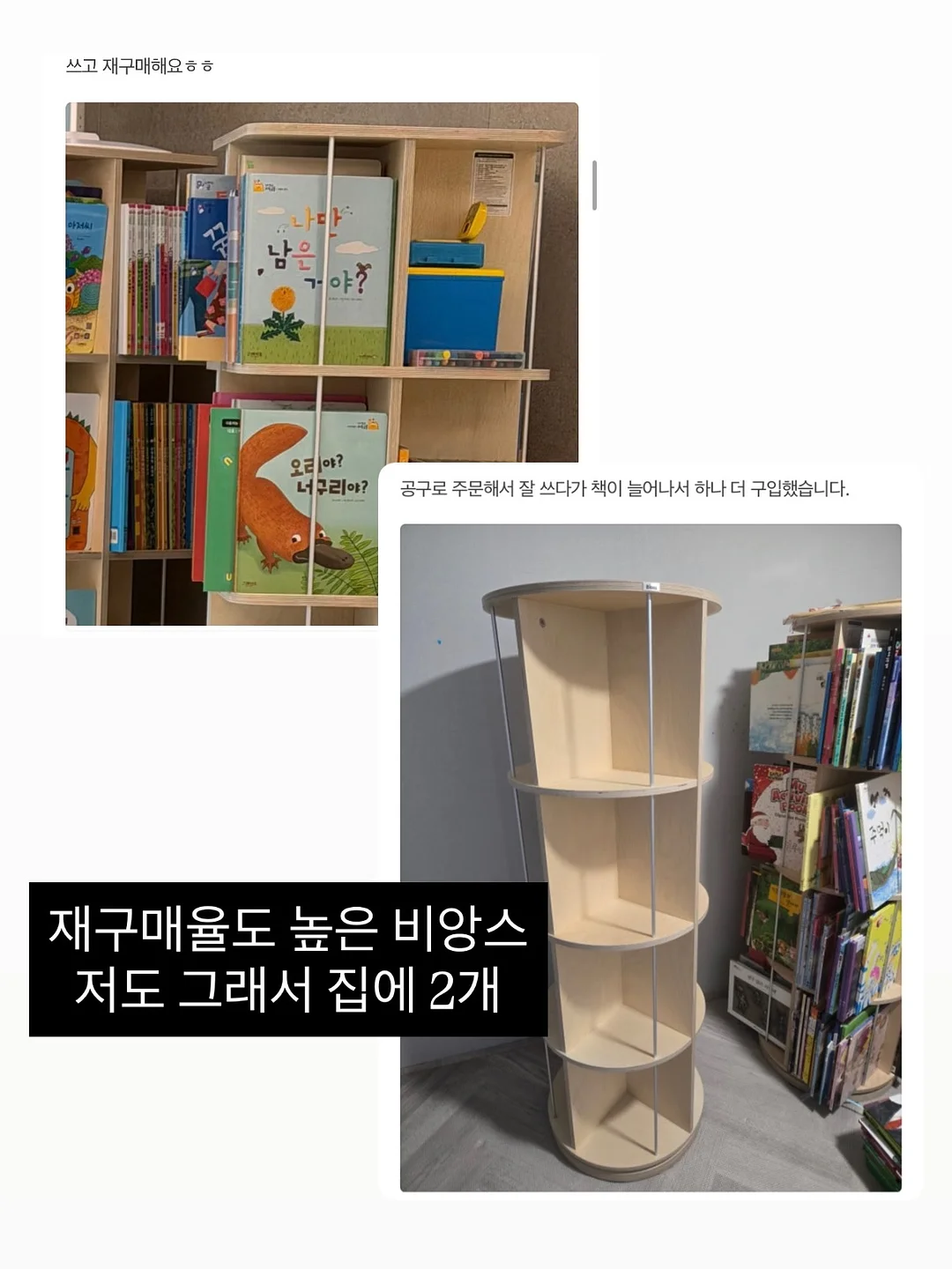 캠프원 6