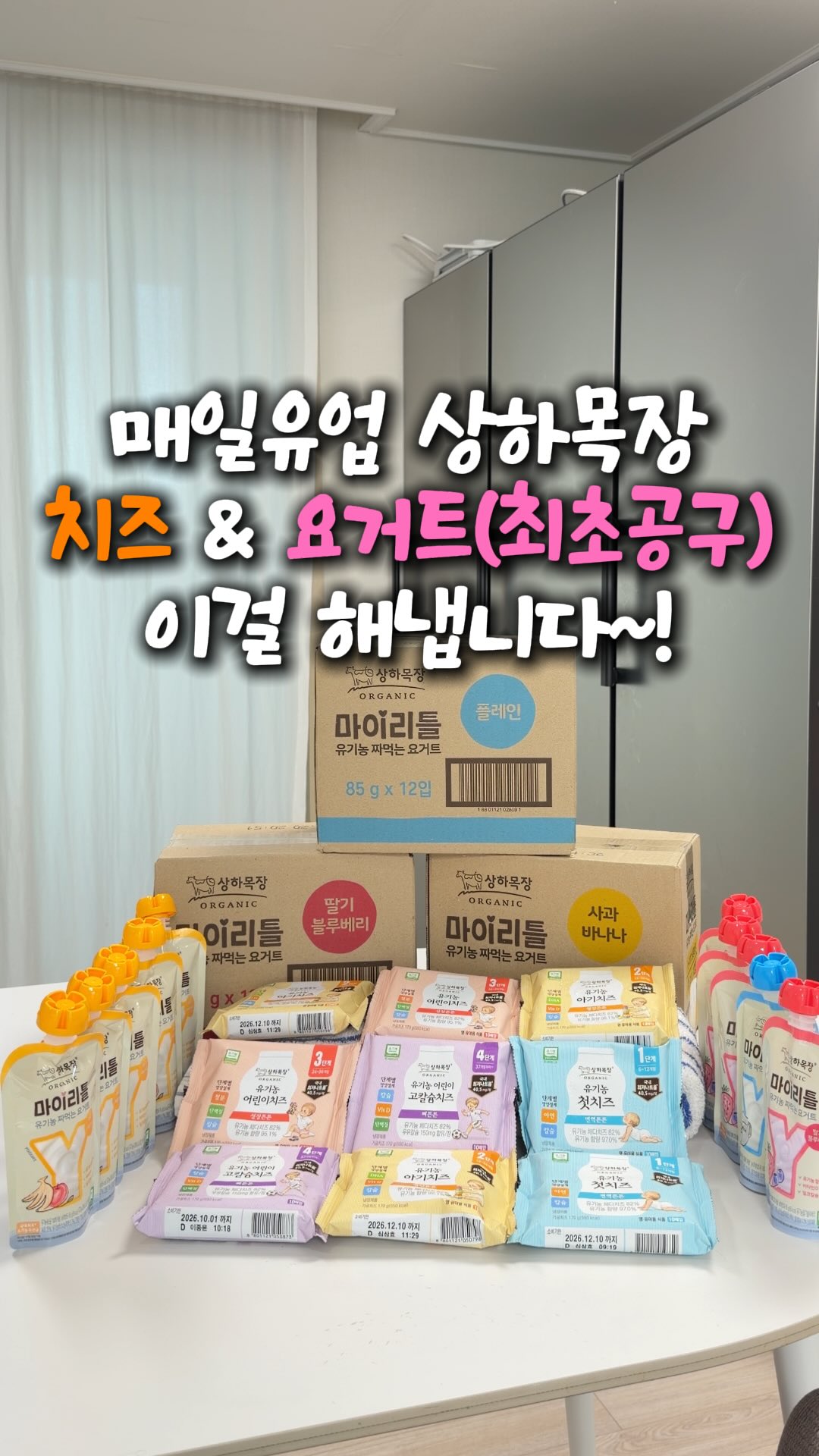 카베르나 보드게임 보관함