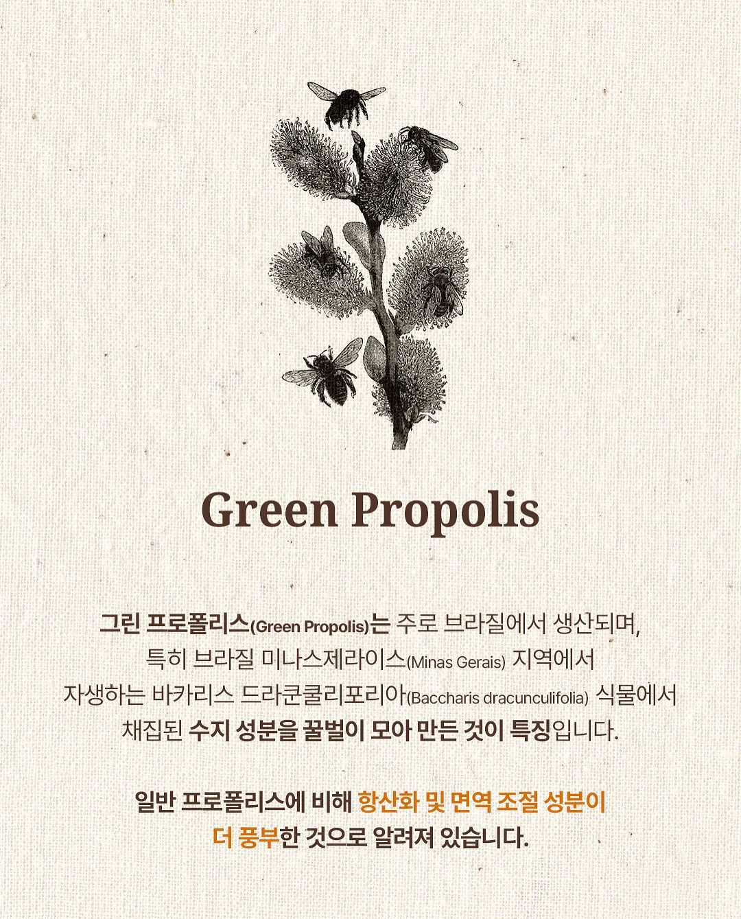 무수분 카레 11