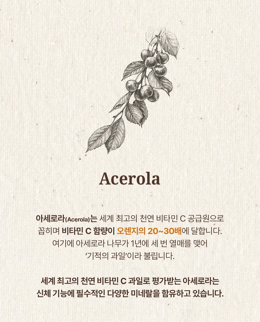 무수분 카레 12