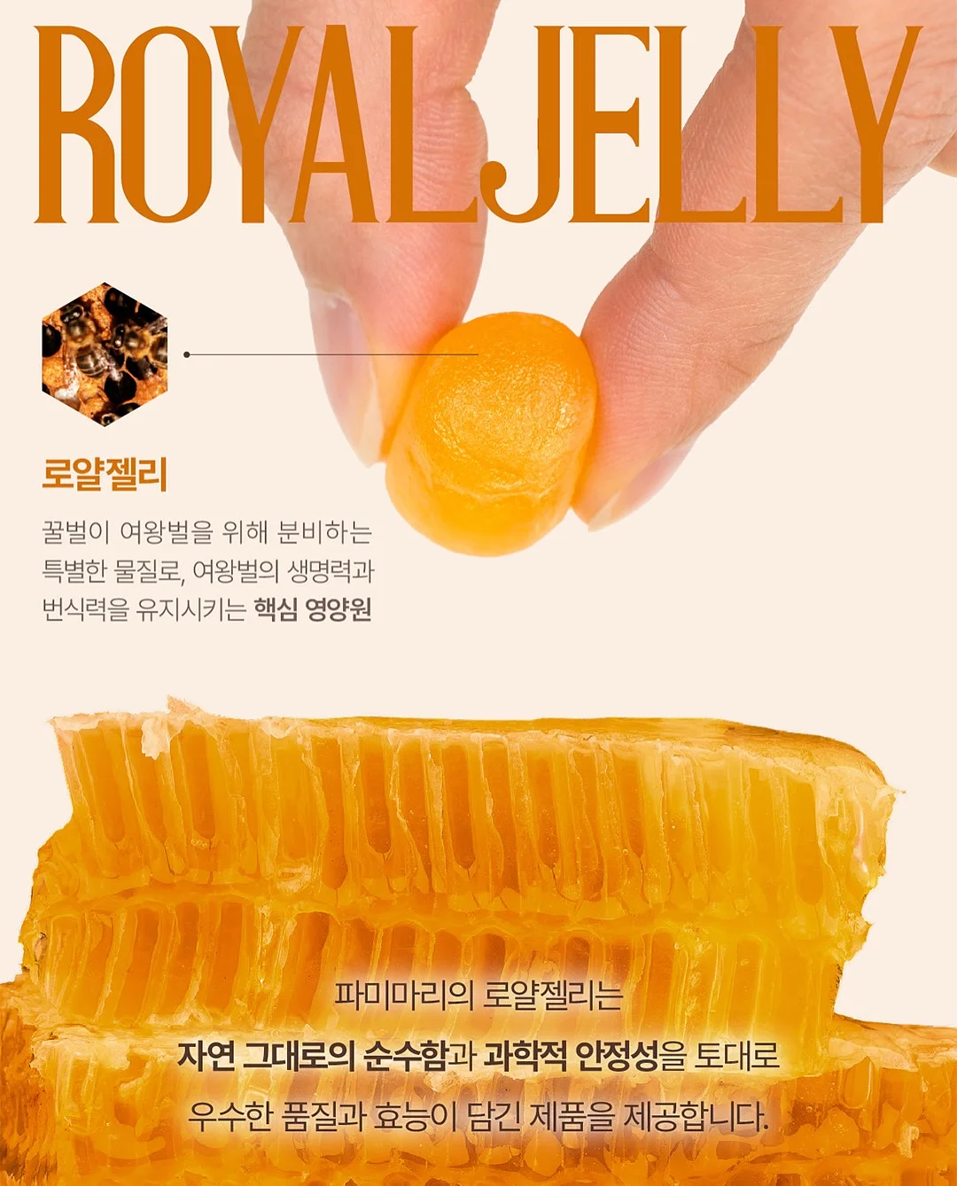 무수분 카레 14