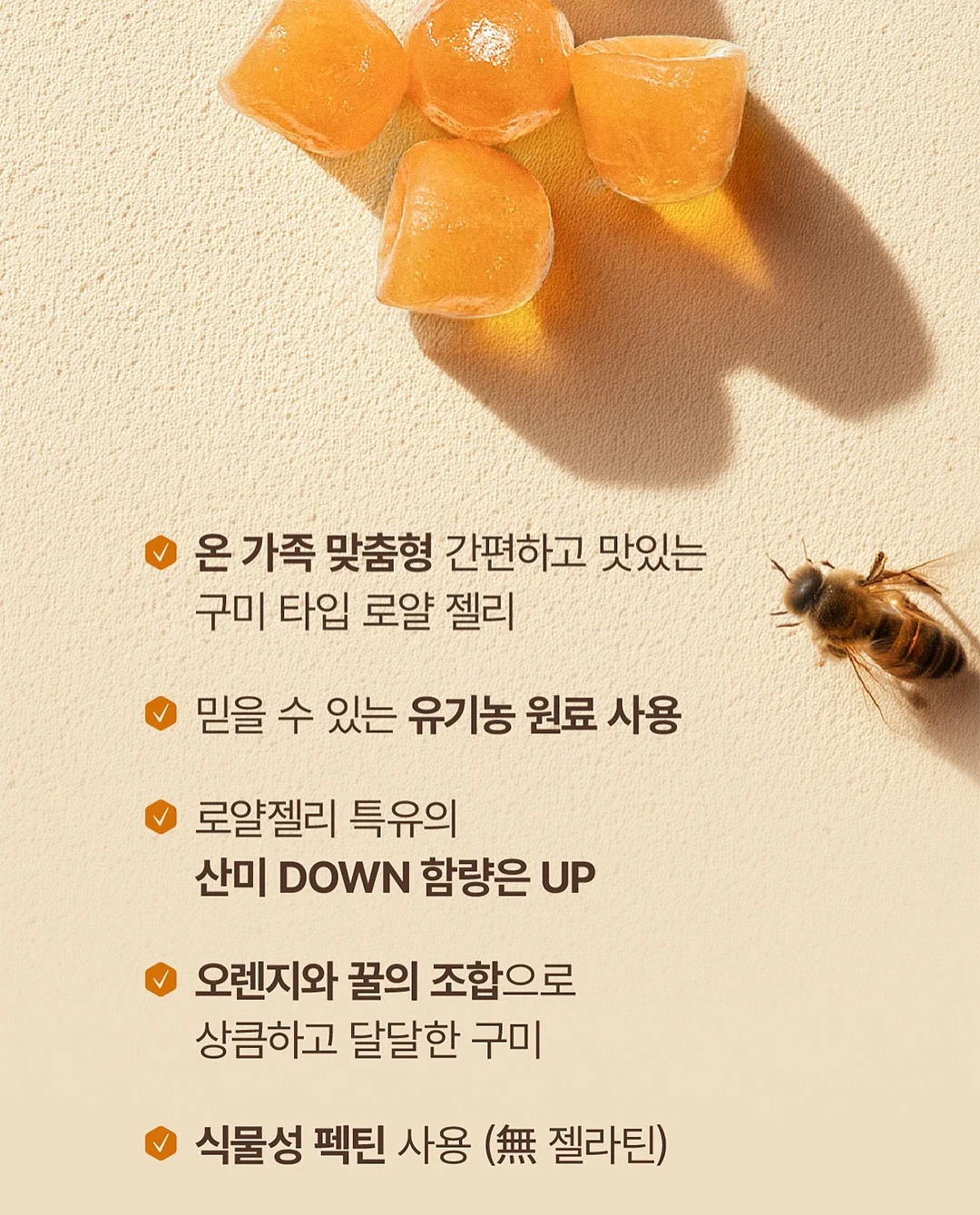 무수분 카레 16