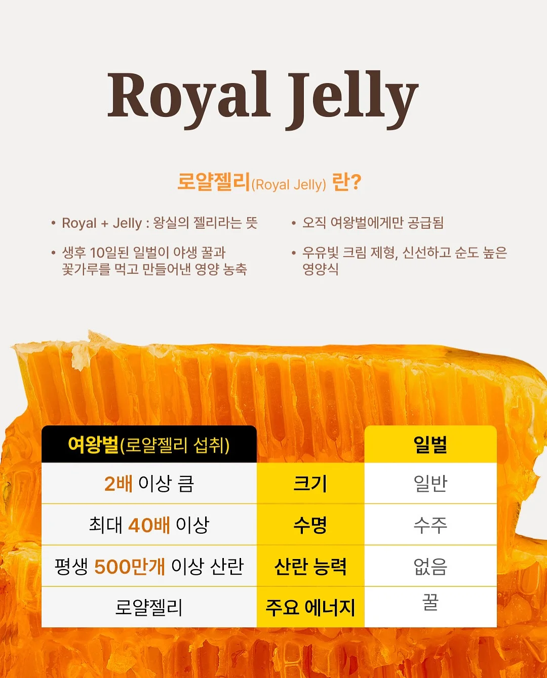무수분 카레 6