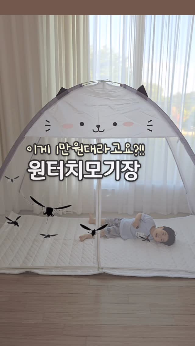 젬소 속눈썹 영양제