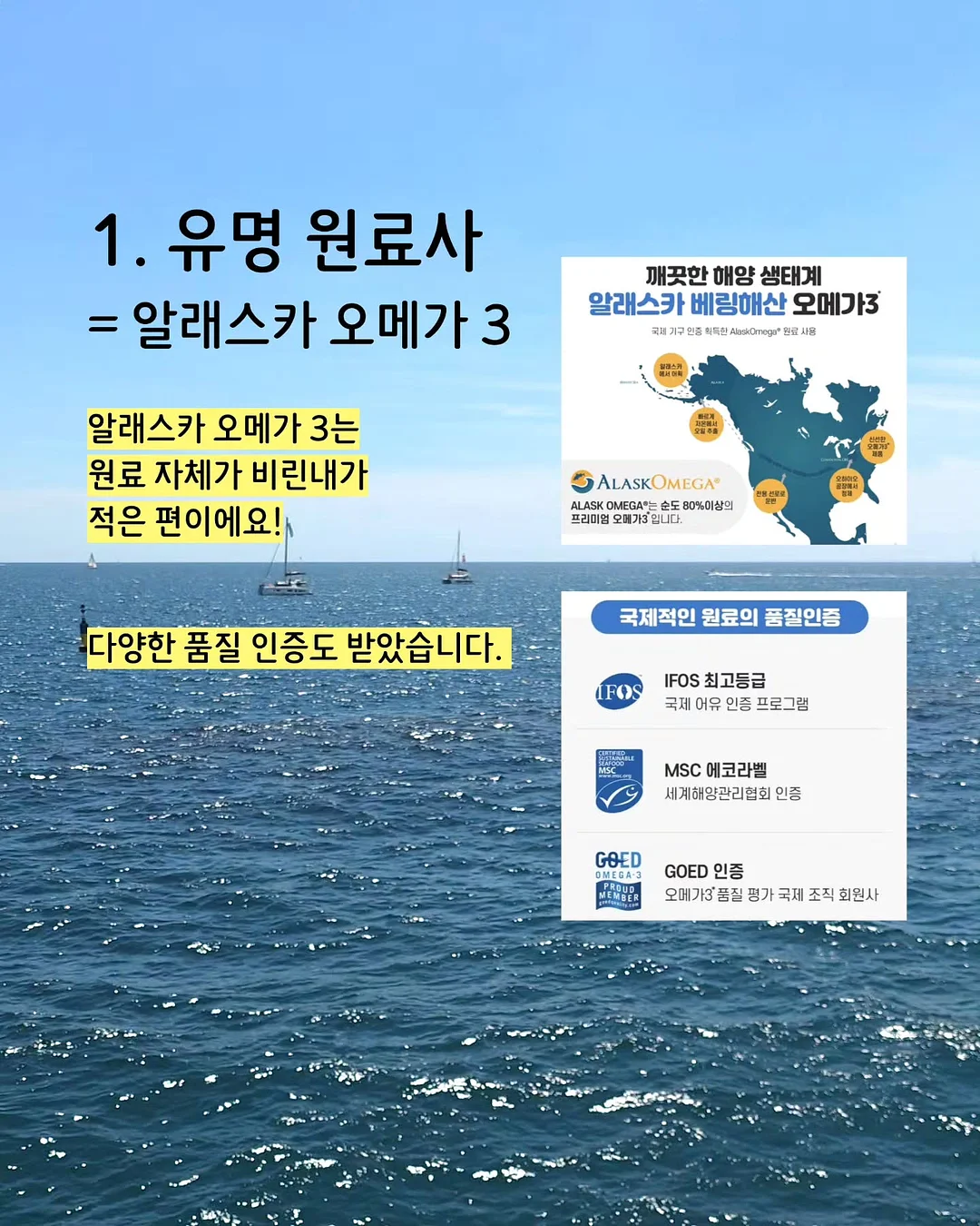 치팅데이 다이어트 보조제 5