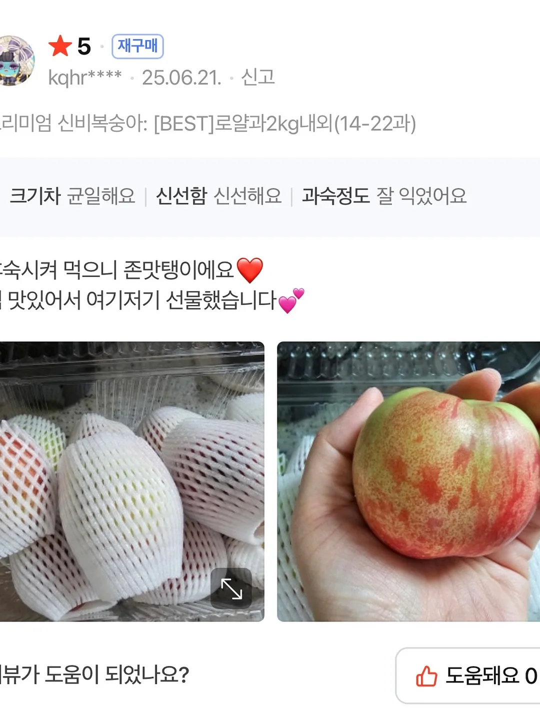 유니크 요 아트 15