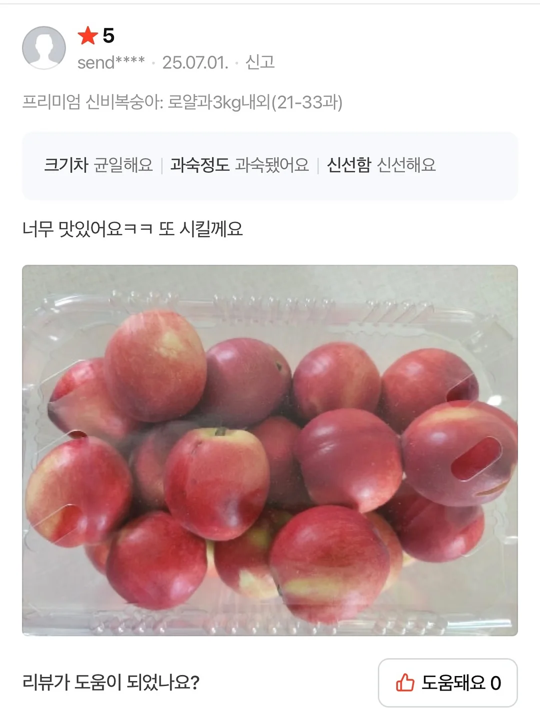유니크 요 아트 6