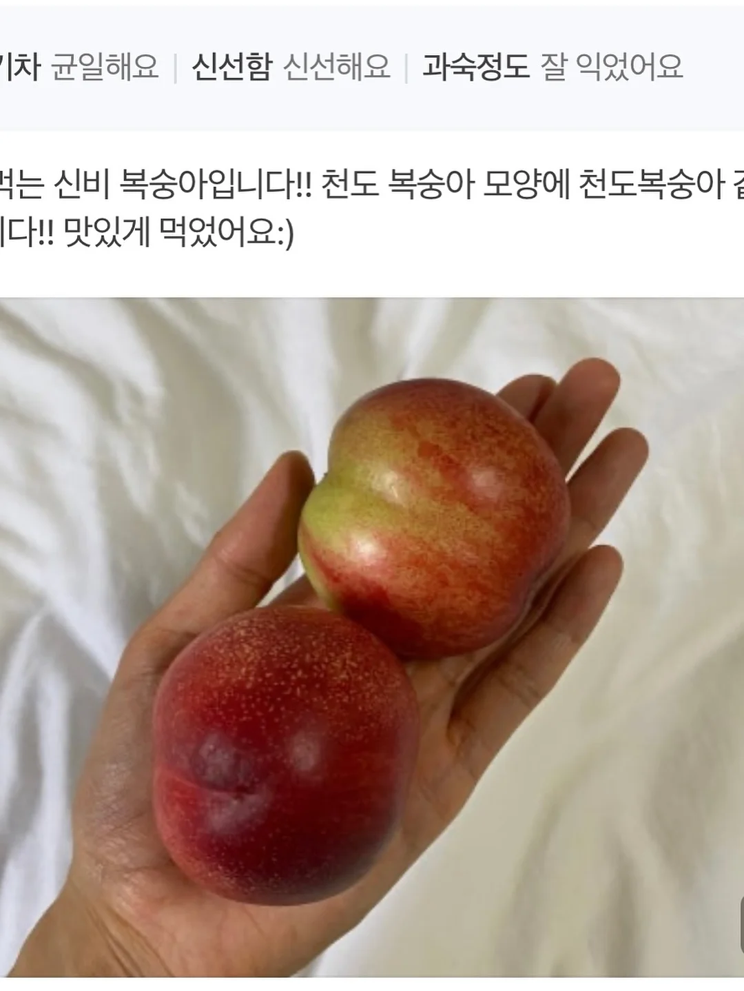 유니크 요 아트 7