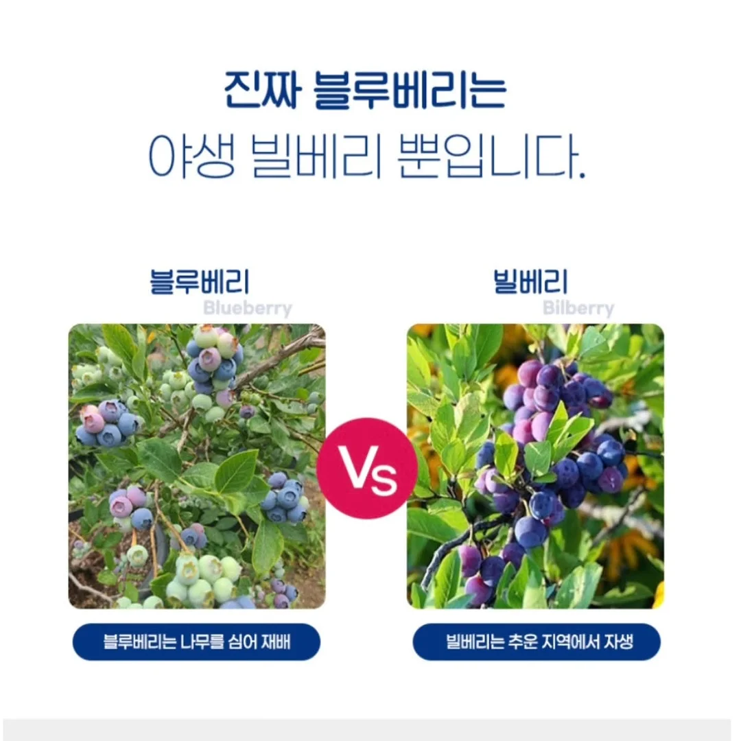 스톤아일랜드 딥네이비 하프 pk 셔츠 5