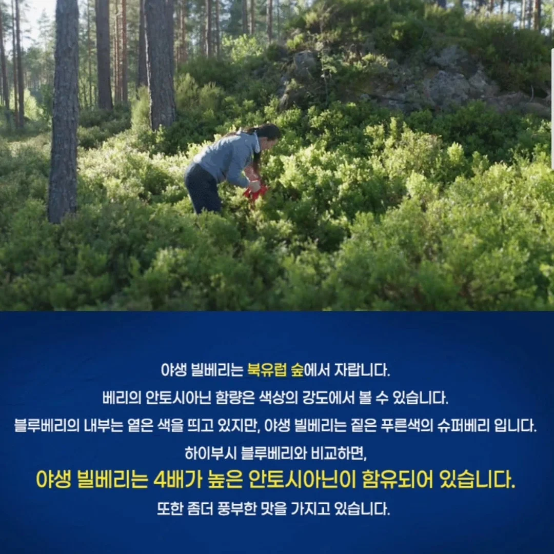 스톤아일랜드 딥네이비 하프 pk 셔츠 8