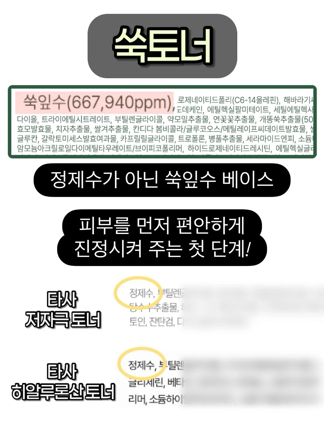 파김치 4