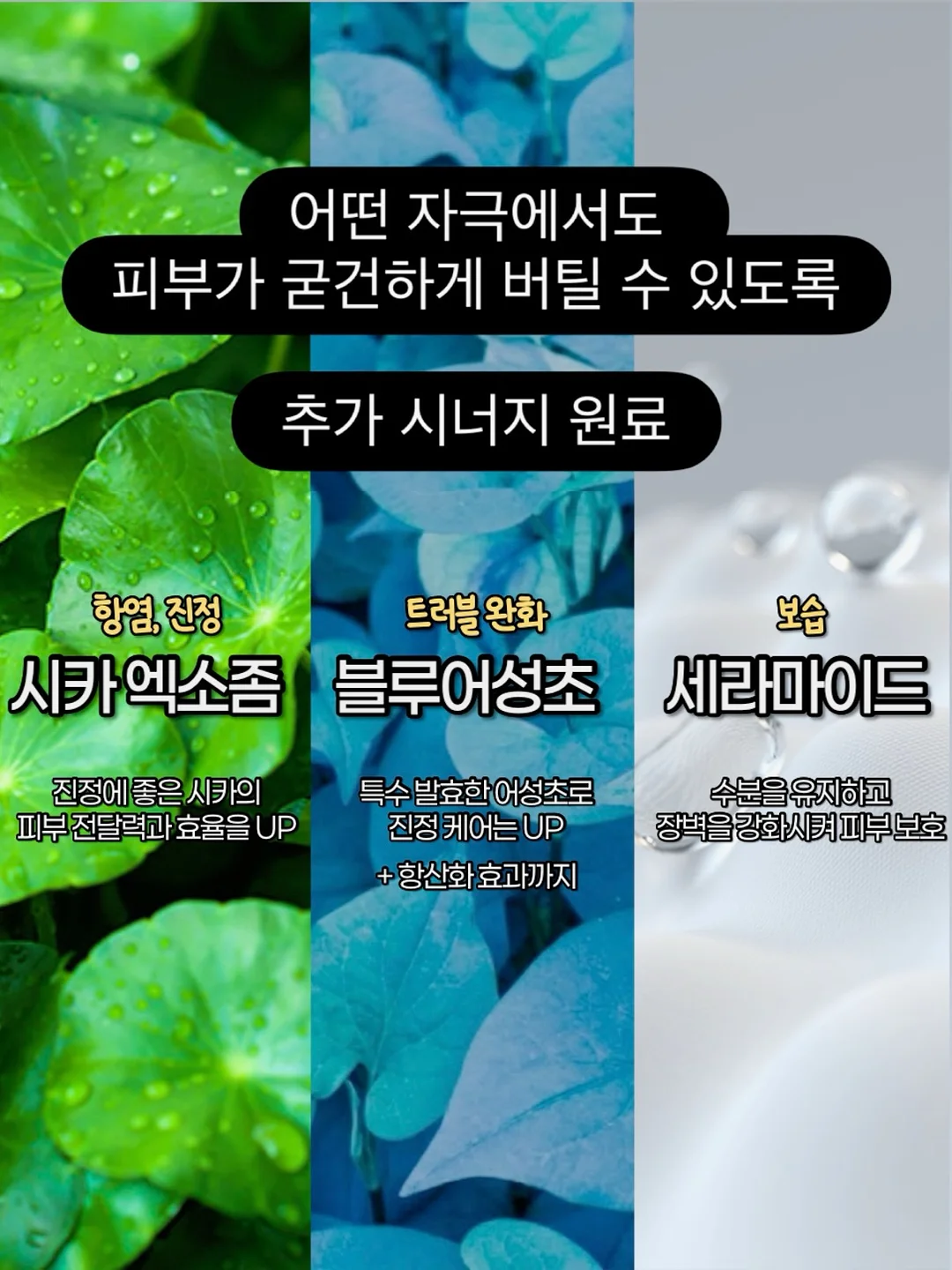 파김치 7