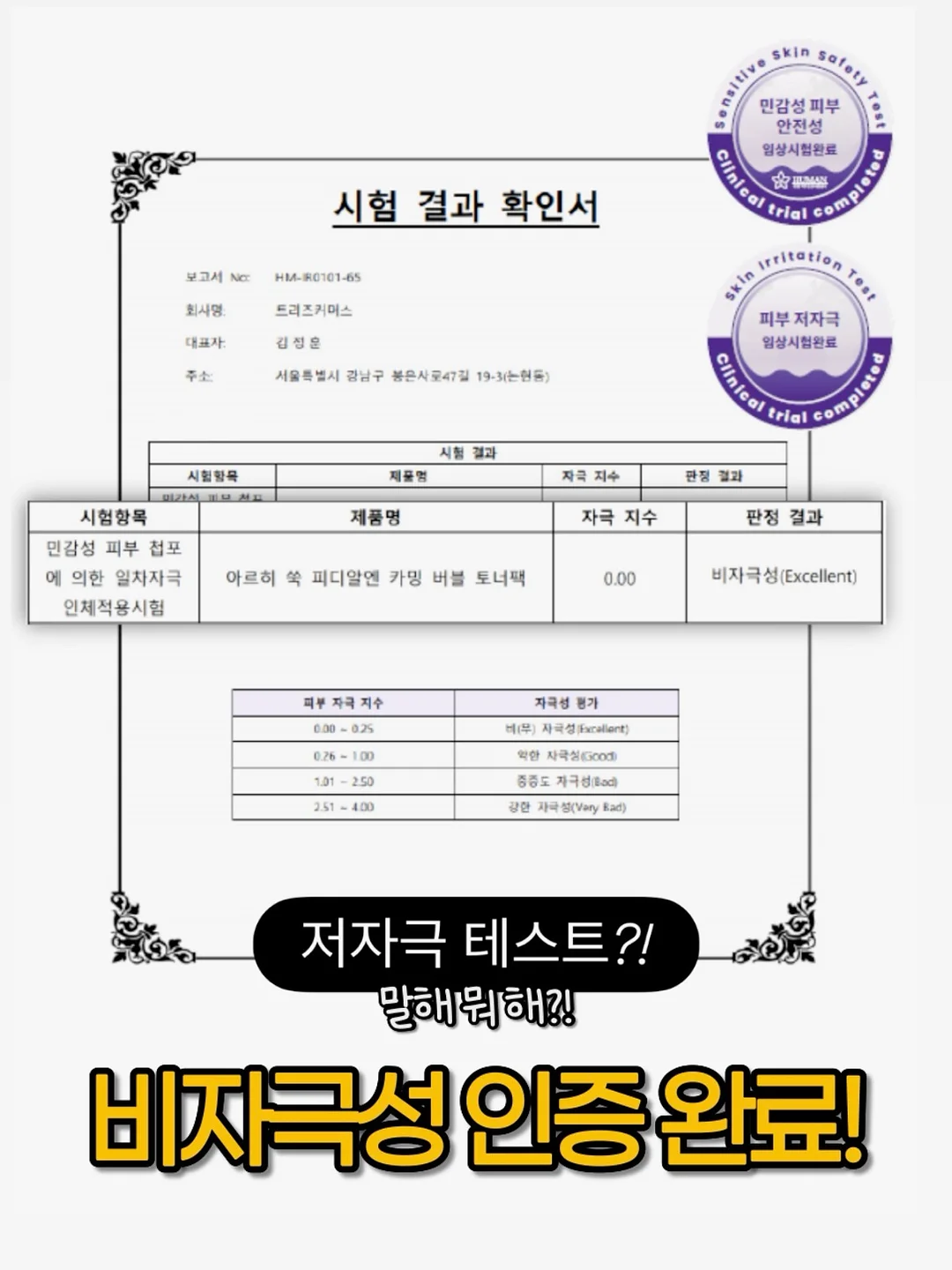 파김치 10