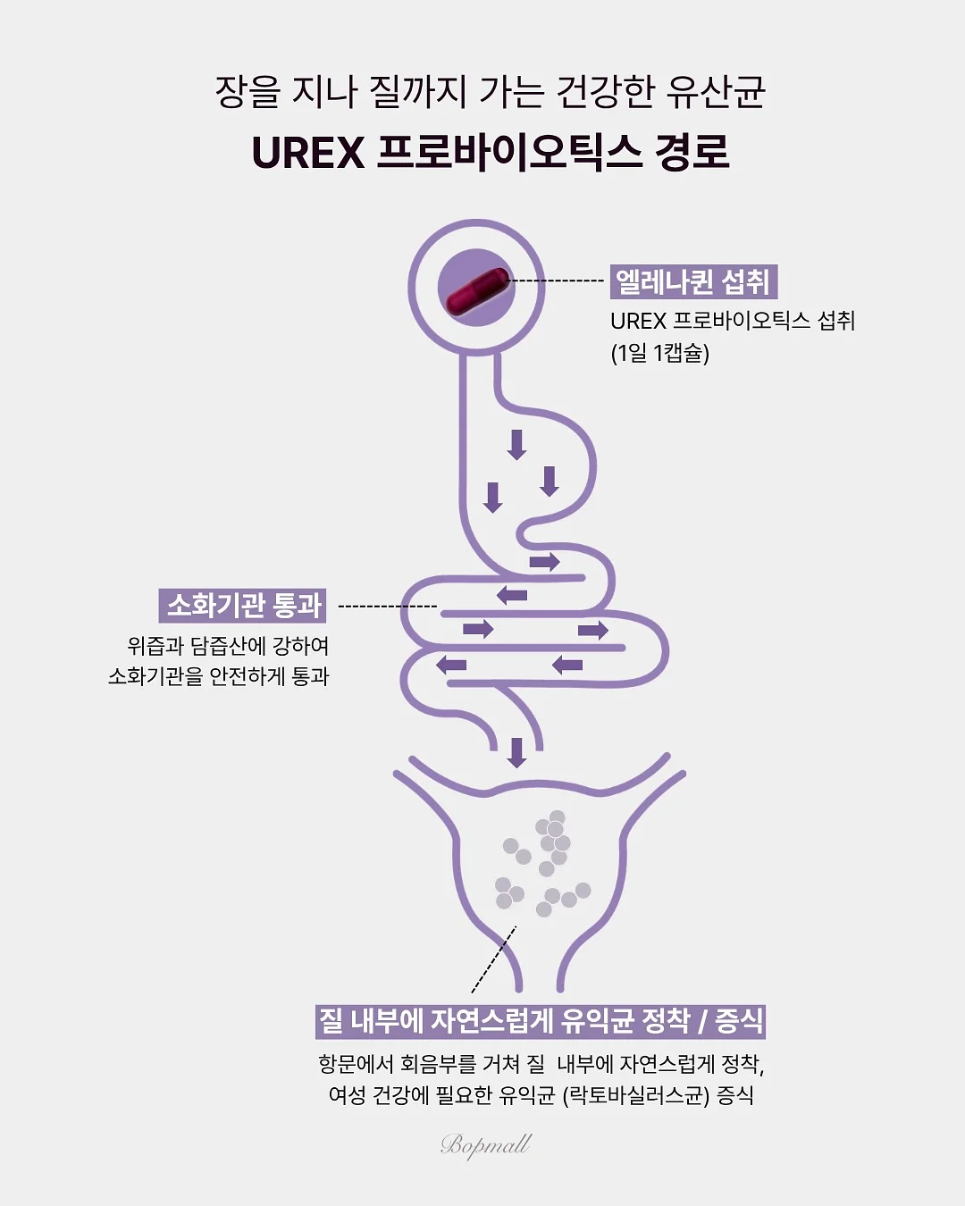 방배상지리츠빌 2차 아파트 매매 17