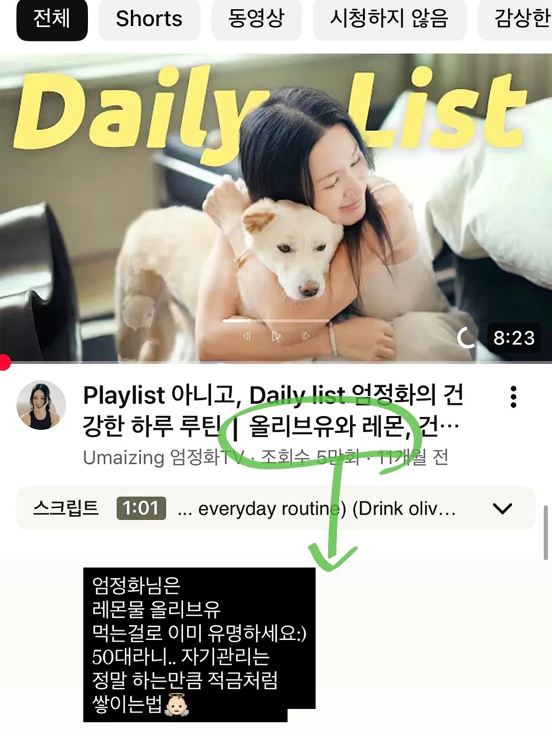 백설기+송편 5