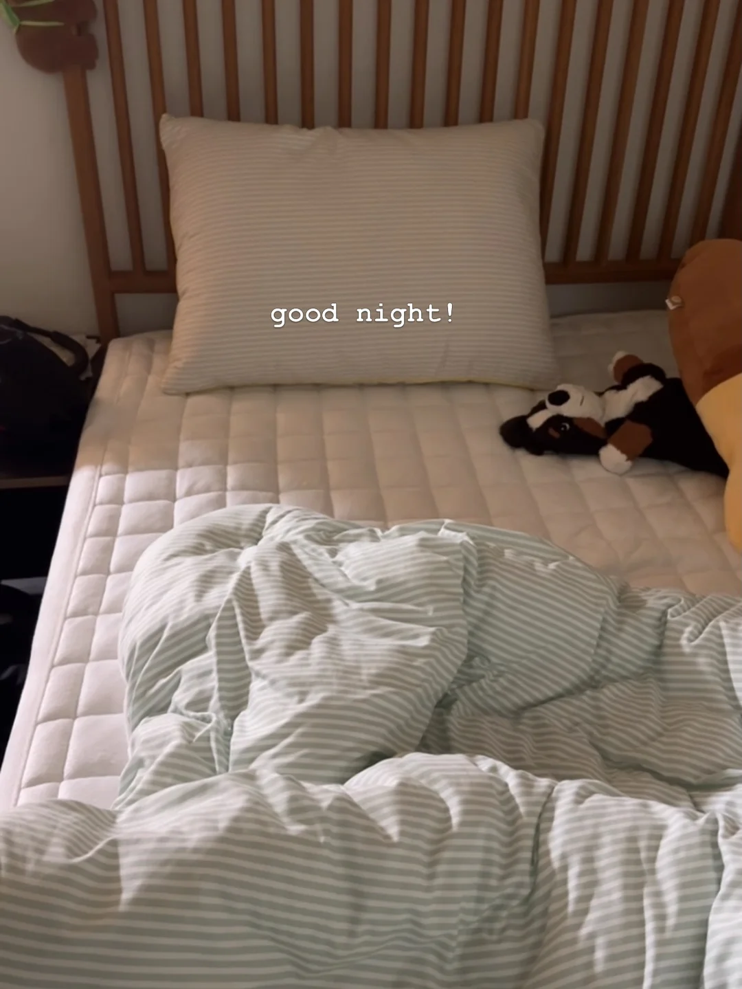 콘 1