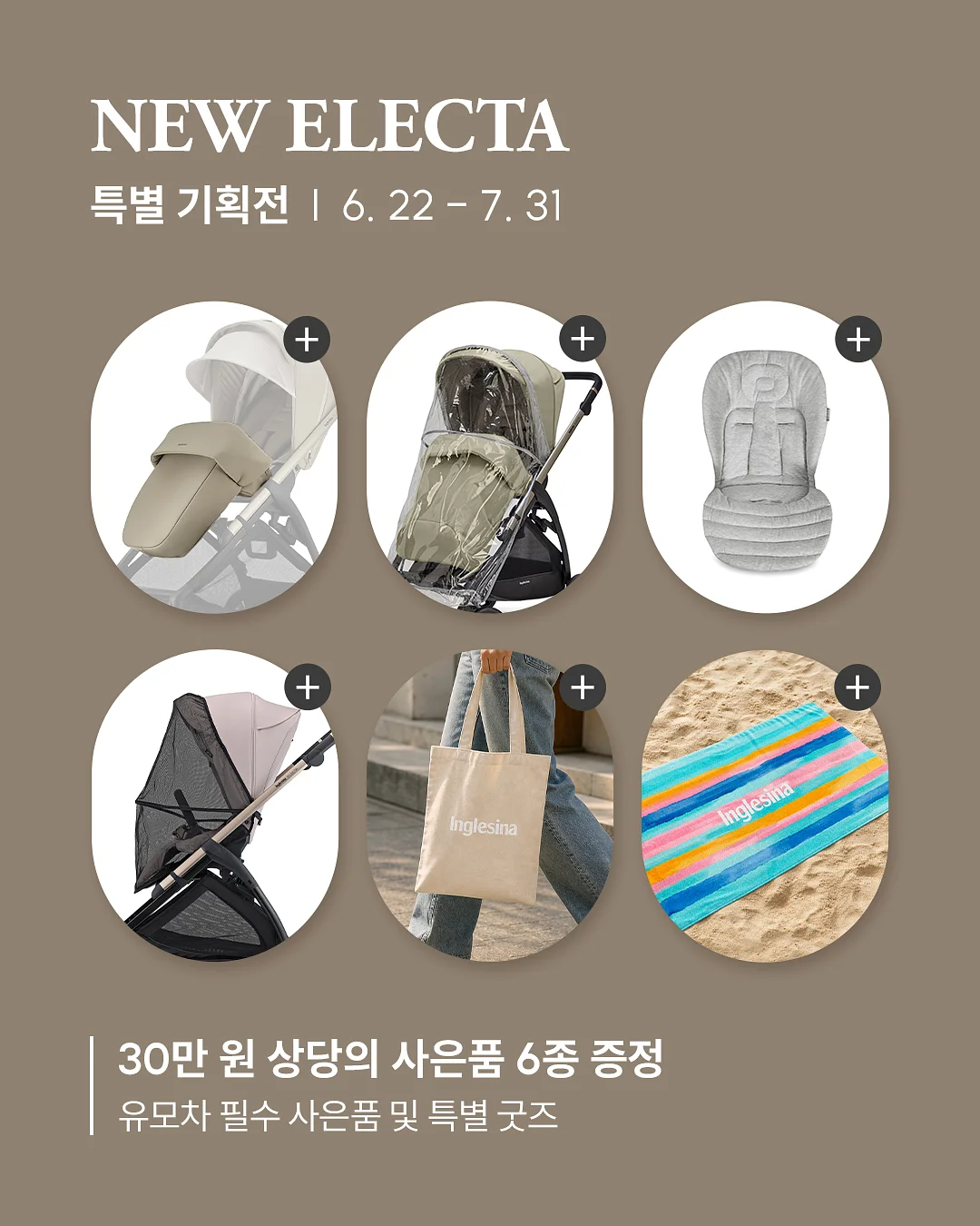블랙타이거 새우장 2