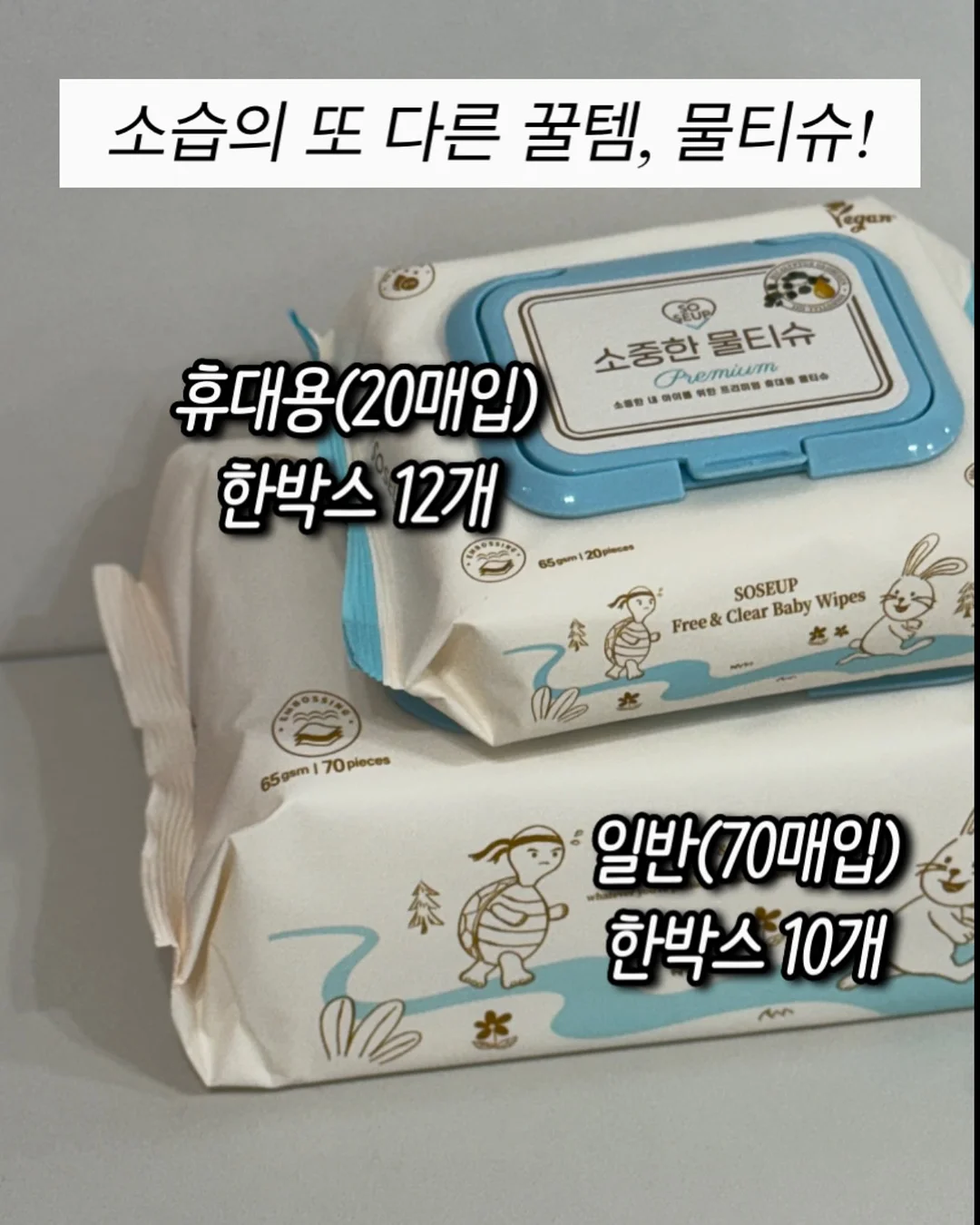 이소라 아침 식단 19