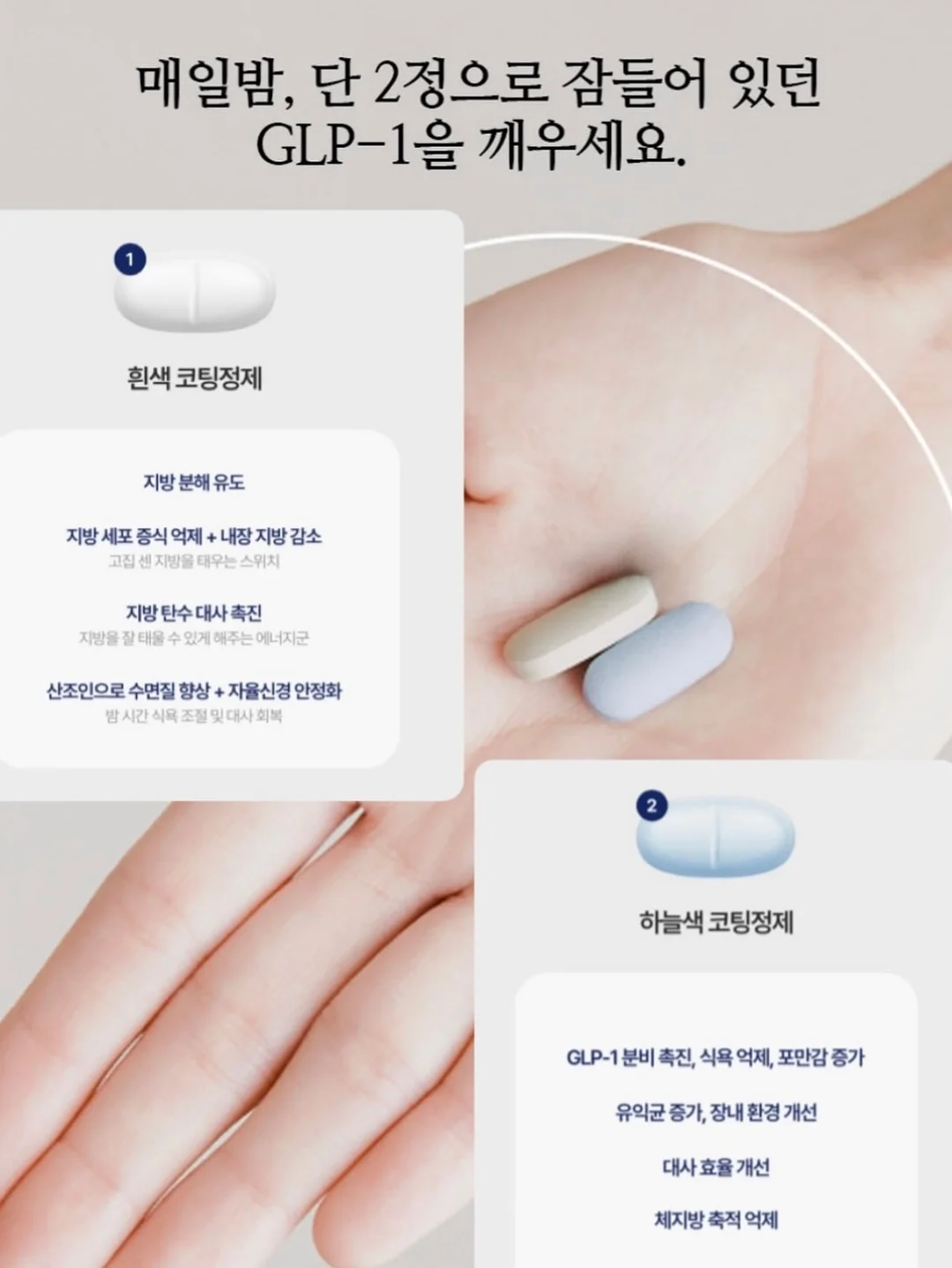 꽃풍선 5