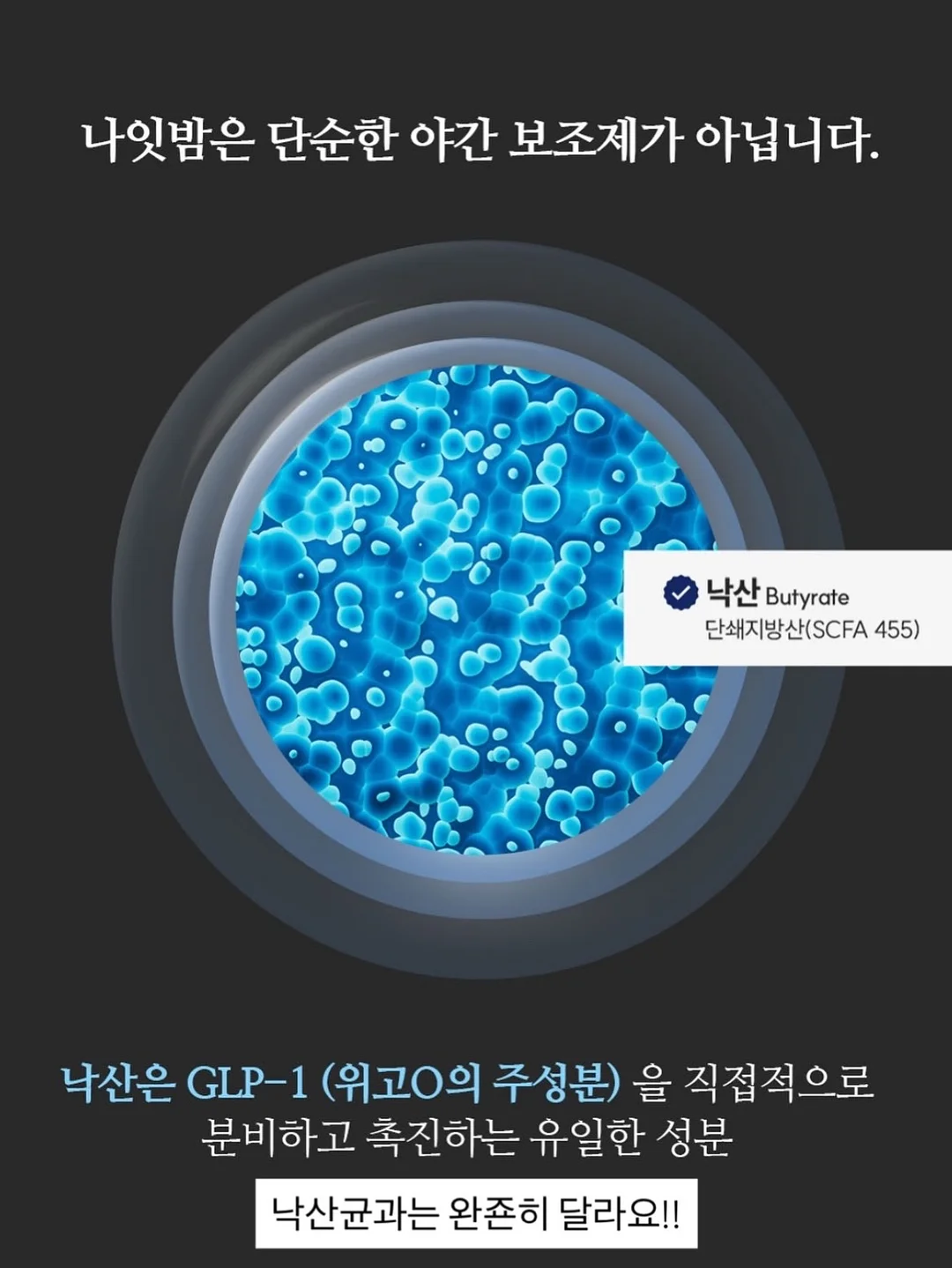 꽃풍선 6