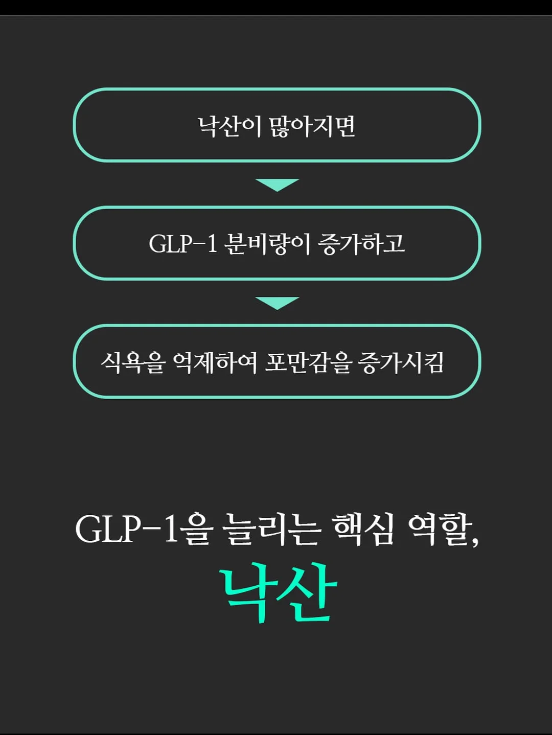 꽃풍선 7