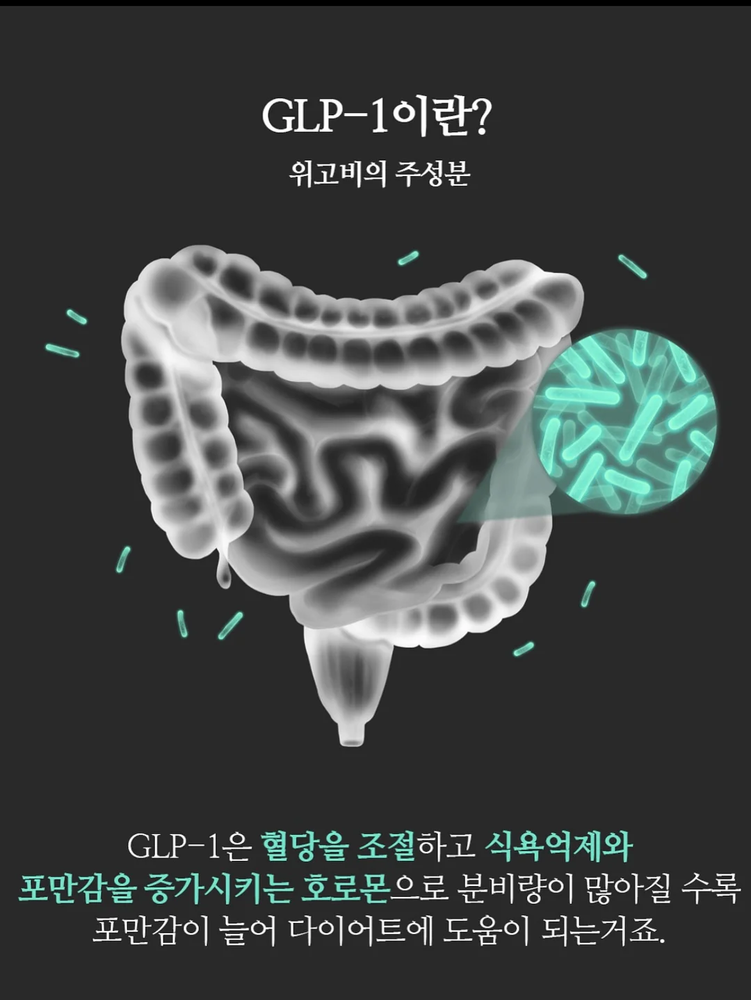 꽃풍선 8
