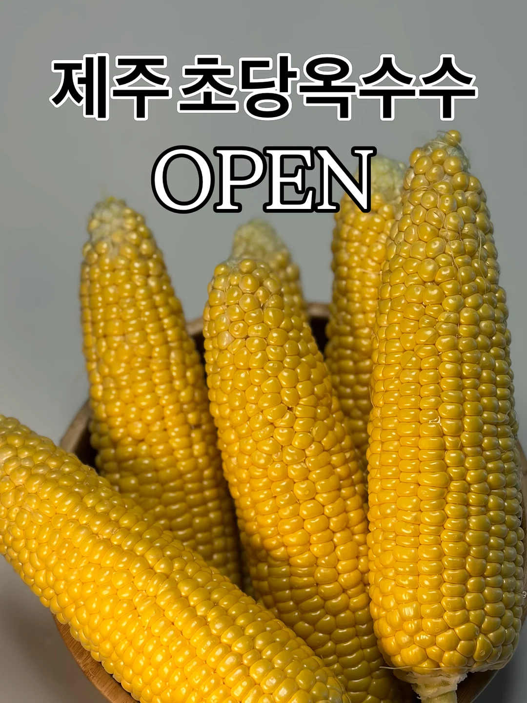 자동차케이크 1