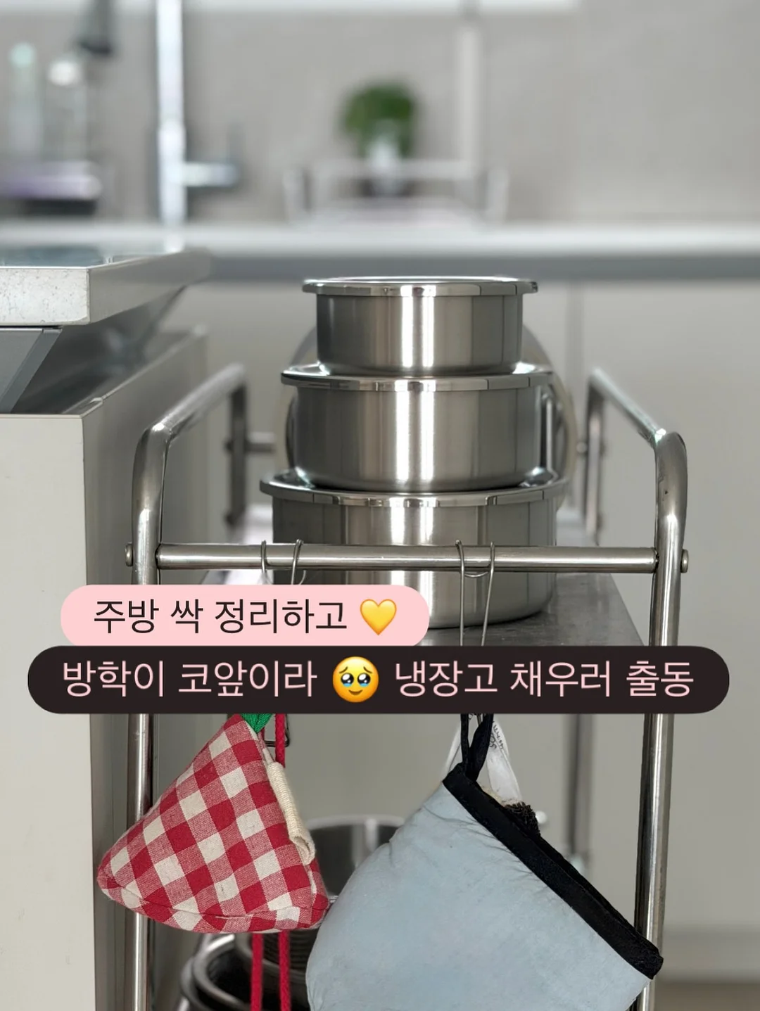올베토샷 10