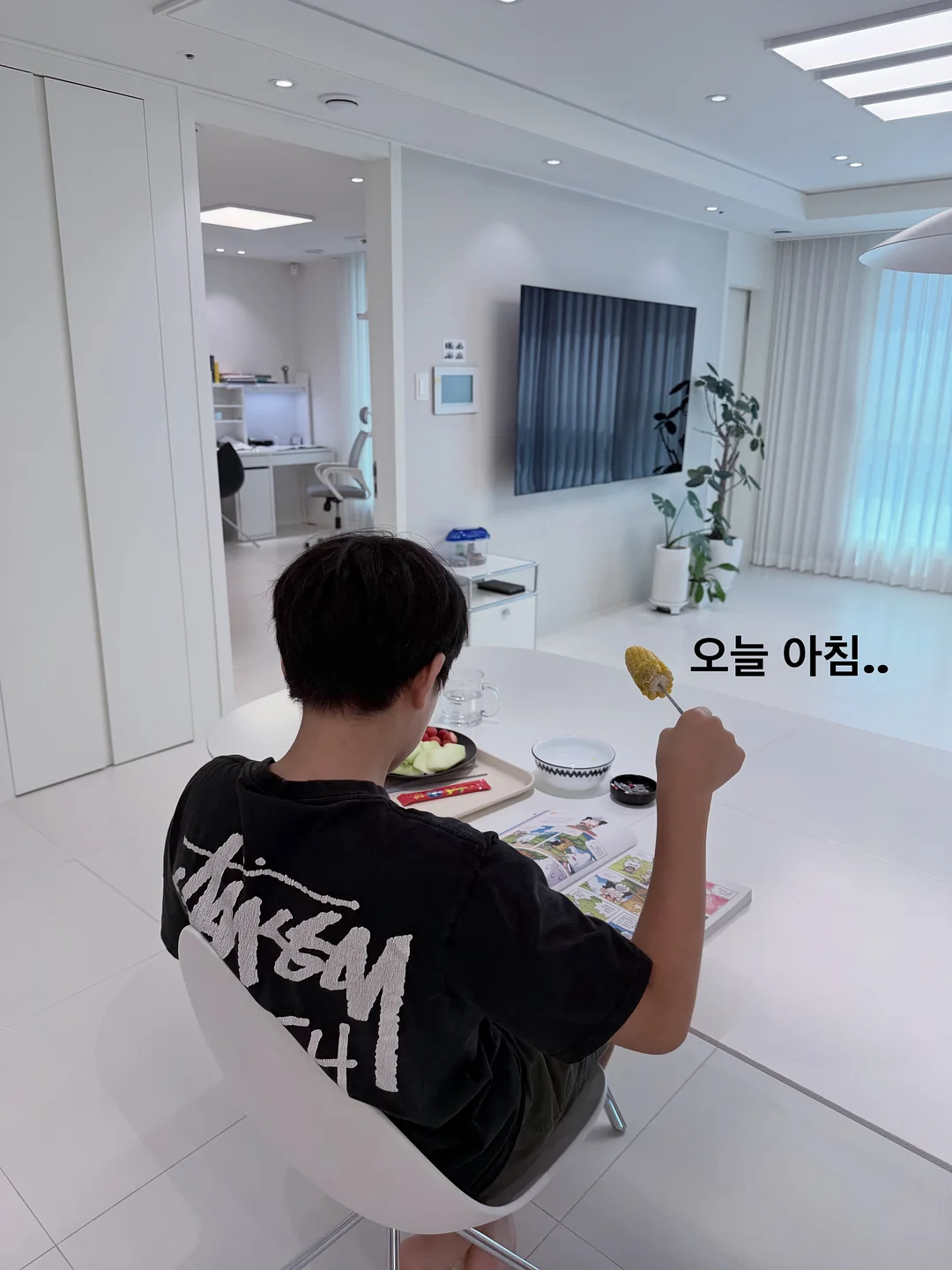 세멘잘 라이트 1
