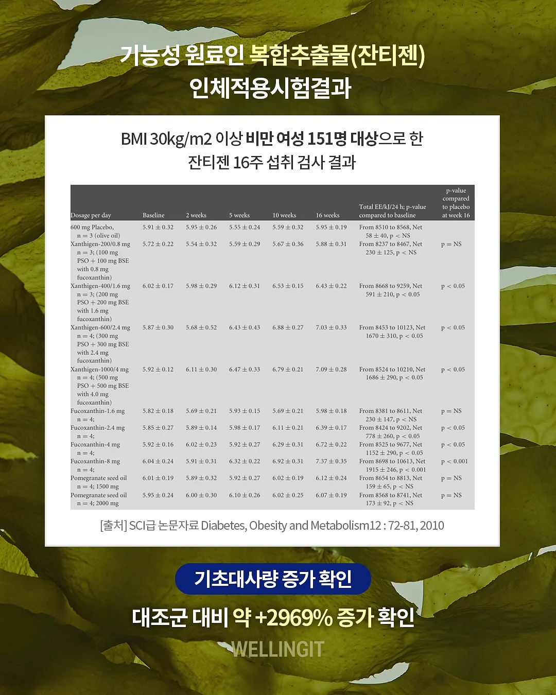 아이앱스튜디오 피그먼트 후드티 1