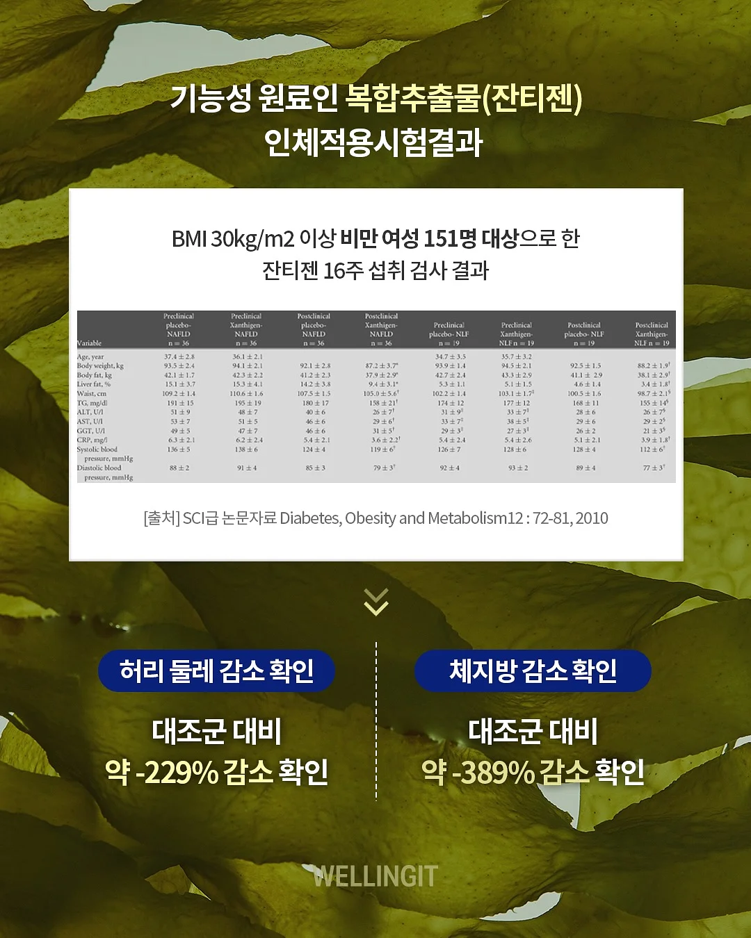 아이앱스튜디오 피그먼트 후드티 2