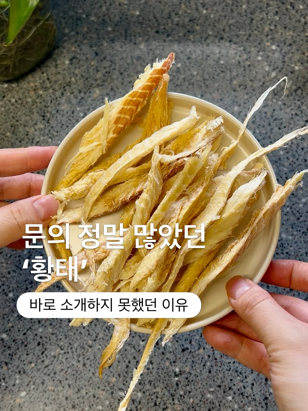 아디다스 파이어버드 아디컬러 져지 반팔 1