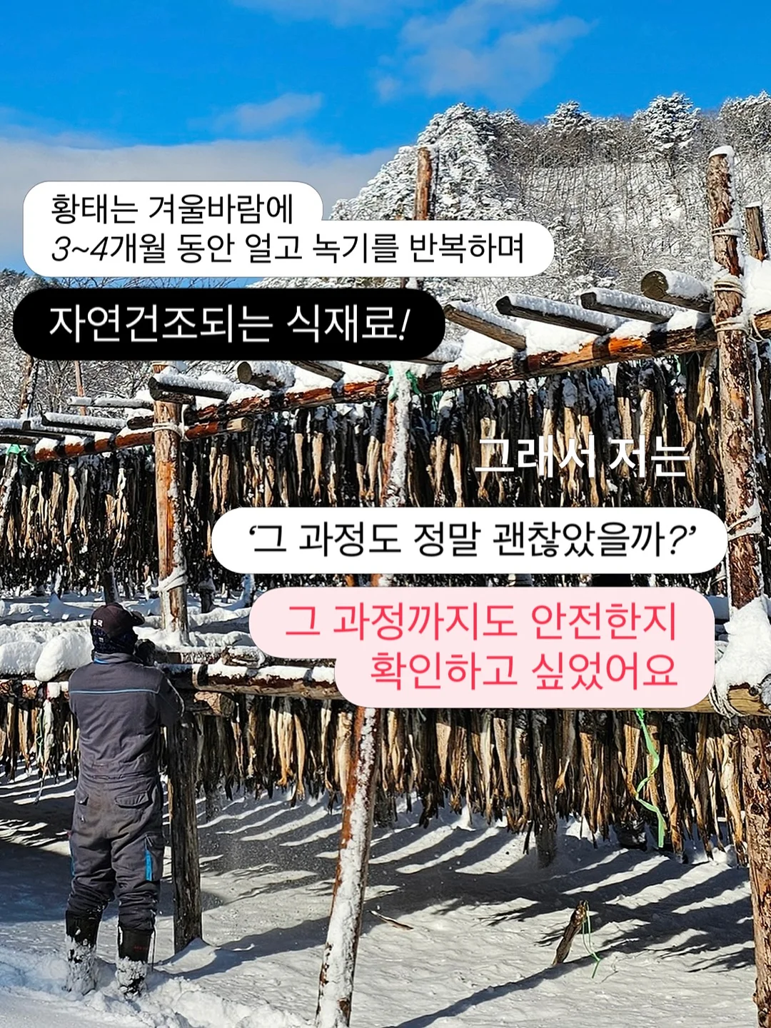 아디다스 파이어버드 아디컬러 져지 반팔 4