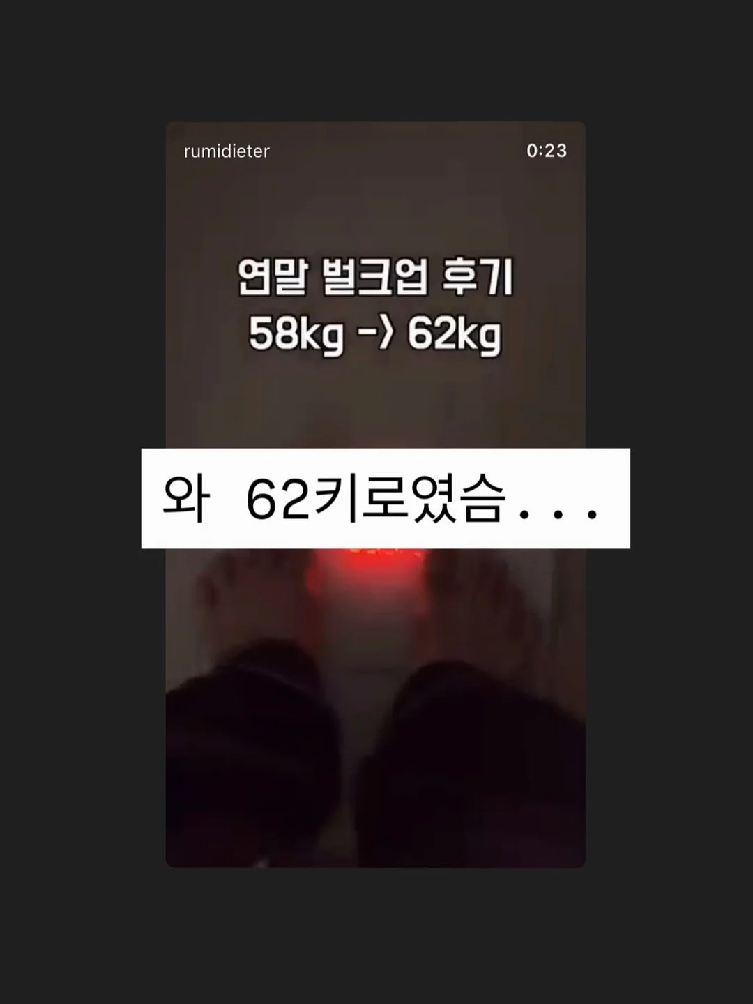 초코티라미수 롤케이크 2