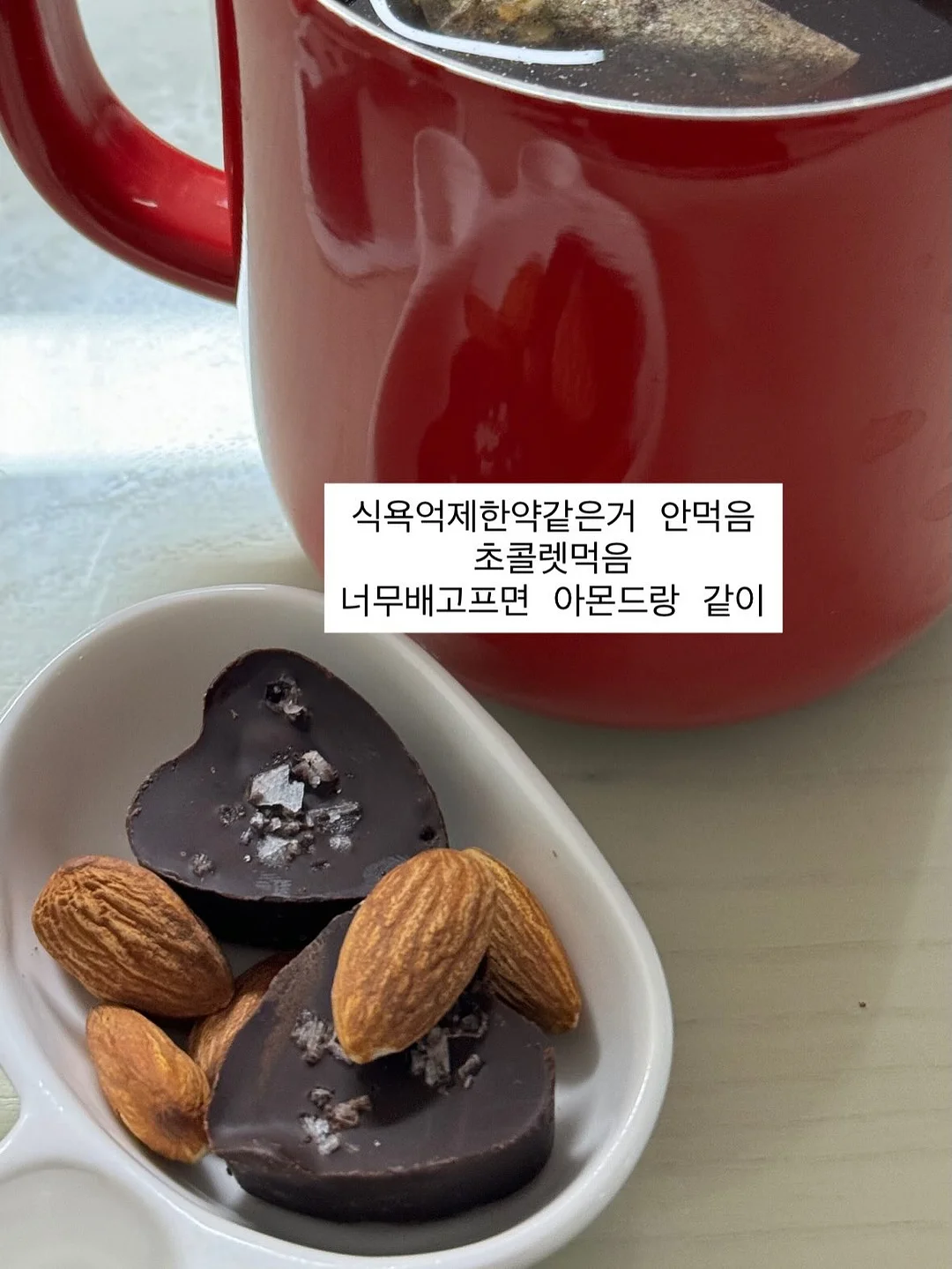 초코티라미수 롤케이크 4