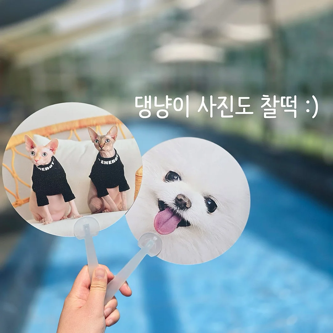 플라스틱 황변 제거제 5