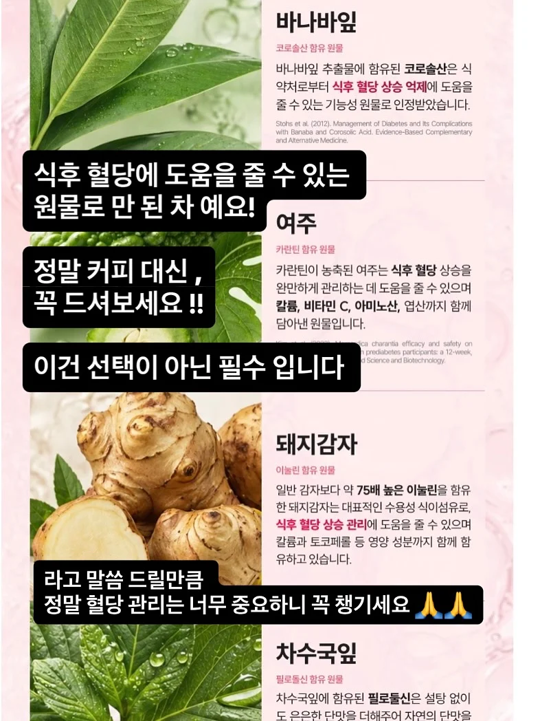 파주 상지석동 4룸 주택 4
