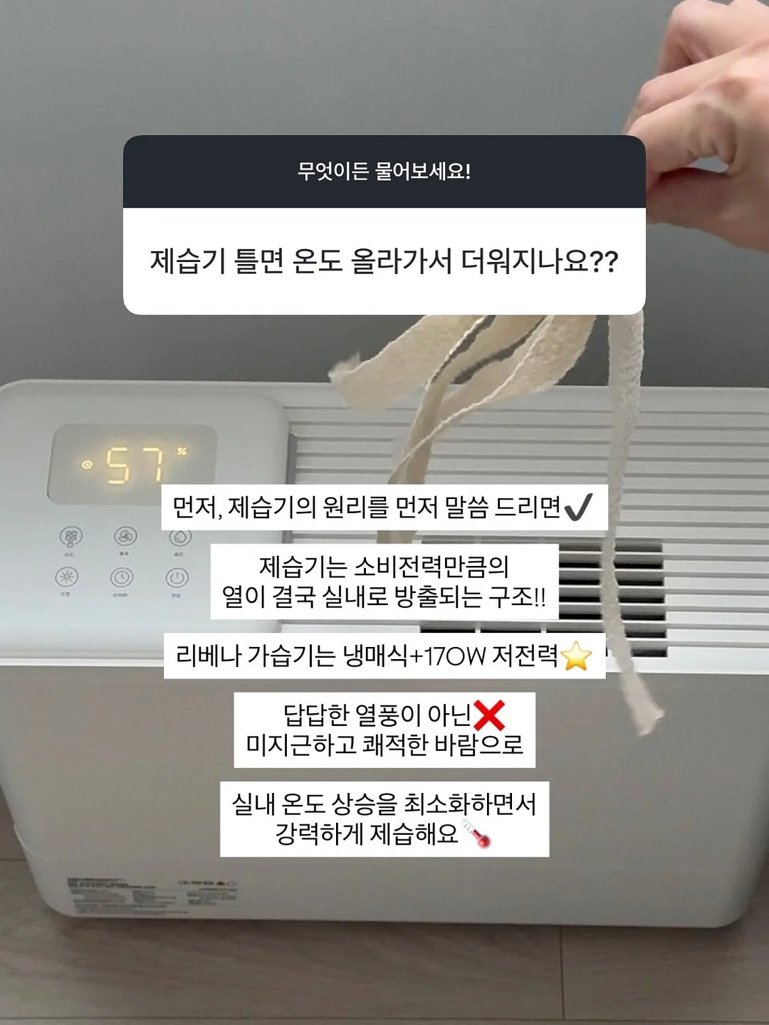 5부 슬랙스 19