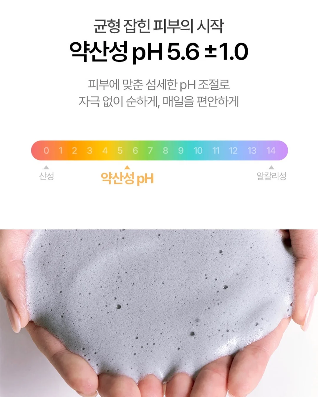 차량용 전자동 차양막 13