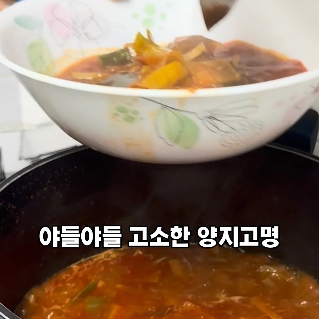 힙시트 11